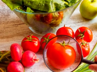 Segurança alimentar