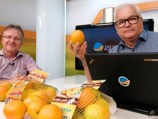 Emílio Fávero - Sócio - Diretor da Alfacitrus