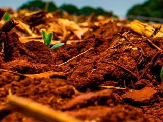 plantio soja - 16:9
