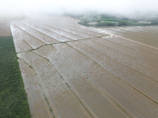 Chuvas atrapalham colheita da soja em Mato Grosso - Foto: Reprodução/Redes Sociais