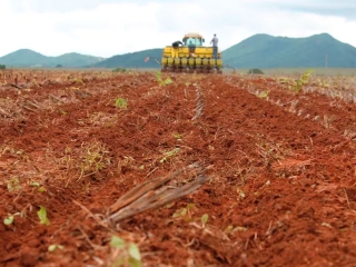 Plantio de Soja - 16:9