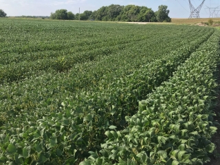 EUA Safra 2018/19 - Trajeto de Naperville, Millbrook, Magnolia/Illinois