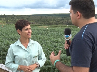 Fernanda Juliatti e Guilherme Dorigatti - 16:9