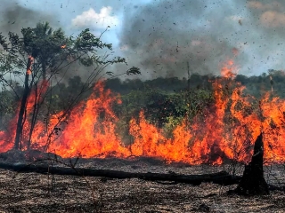 Queimadas Amazonia 2020
