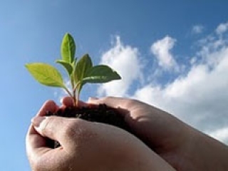 Ambiental - Destaque 2