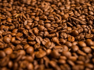 Café - CNA