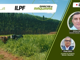 William Marchió - Consultor na Fazenda Santa Brigida