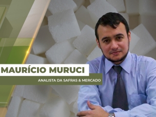 açucar site