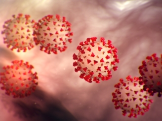 Coronavirus - 16:9
