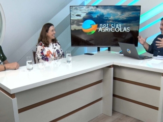 agrofy