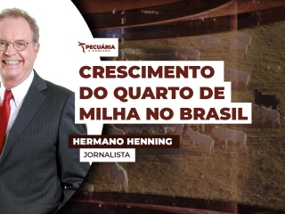 aguiar03