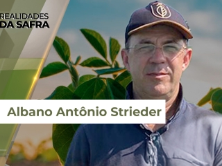 Albano 4 site