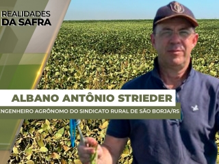 albano site