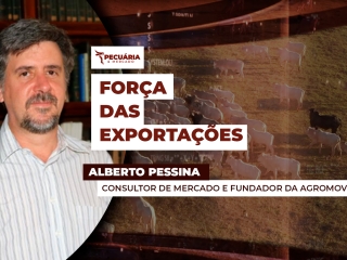 alberto