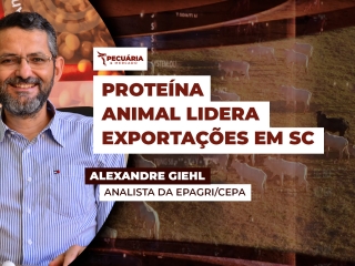 alexandre
