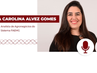 Ana-yhumb