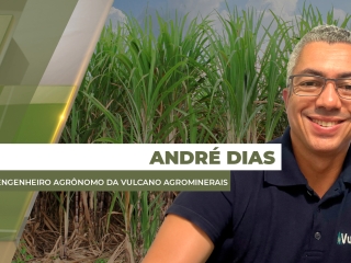 andre-destaque