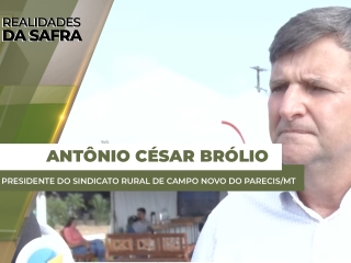 ANTONIO