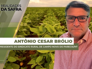 antonio cesar site