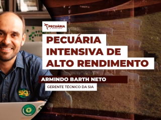 ARMINDO - THUMB 1