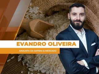 arroz site