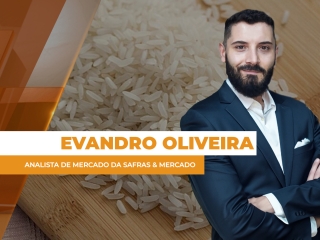 arroz site