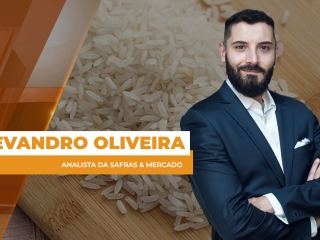 arroz site