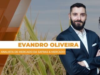 arroz site