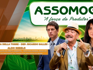 ASSOMOGI