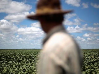 Agro - Olhar, Lavoura - Preocupação - 16:9 16x9