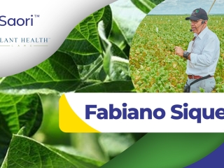 fabiano siqueri