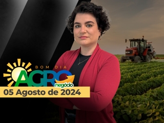 bda-capa