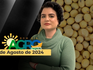bda-leticia