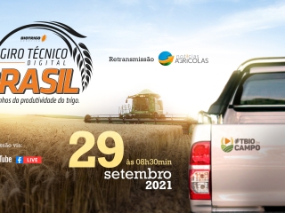 biotrigo_girotec_noticiasagro_telalive