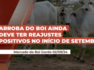 boihoje
