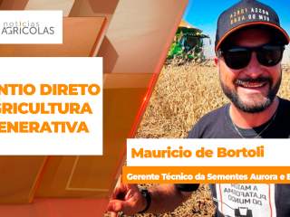 BOLETINS THUMB