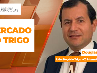 BOLETINS THUMB TRIGO