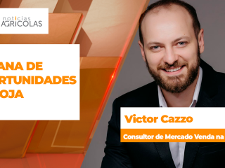 BOLETINS THUMB VICTOR CAZZO