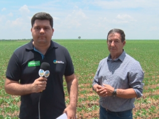 Paulo Triches - Produtor Rural de Sorriso/MT