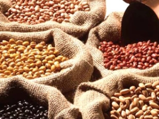 feijão destaque video