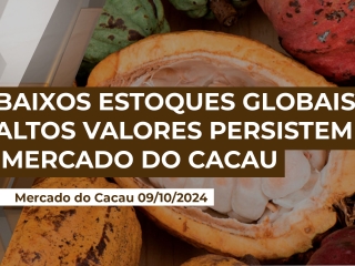 cacau-09