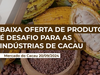 cacau-20