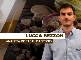 cacau-destaque
