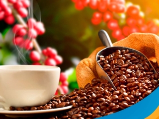 cafe-13