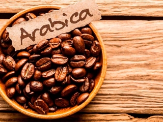 Café Arabica