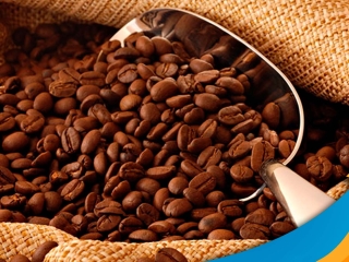 cafe arabica
