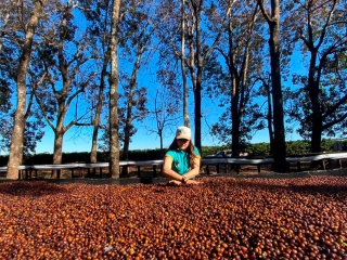 Café,-Lucimar-Silva