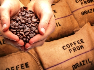 cafe_shutterstock_162369935