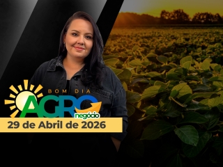 CAPA DO YOUTUBE_BOM DIA AGRO-ÍNTEGRA2