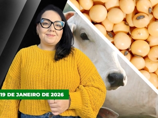 CAPA DO YOUTUBE FECHA ALEKS